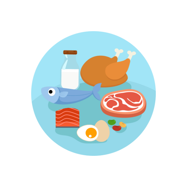 蛋白質食物插圖