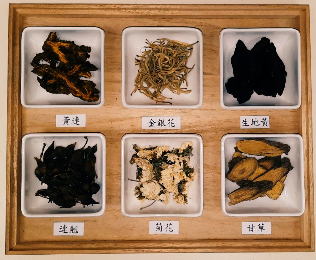中醫「清熱解毒」治療青春痘
