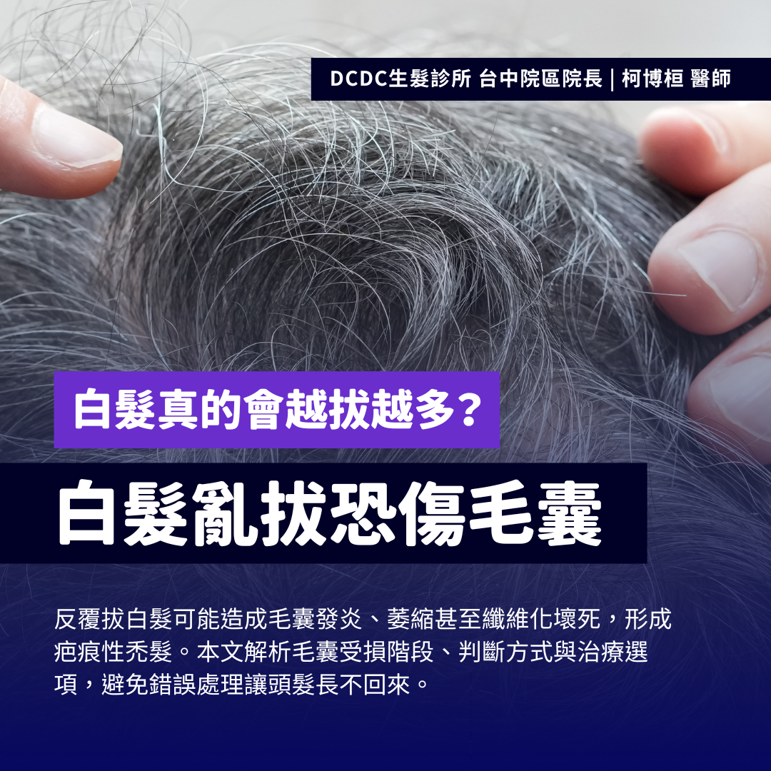 白髮亂拔恐傷毛囊
