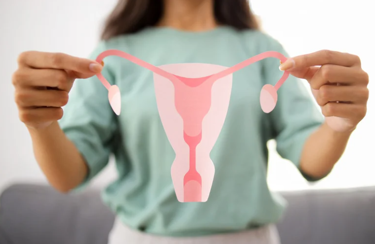 PCOS 更名 PMOS：多囊性卵巢症候群的病理框架與不孕治療完整更新